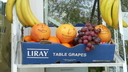  • Kazincbarcika, Egressy t, grapefruit •  • gg630504 cc-by-nc-sa
