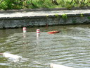  • Kazincbarcika, Csnakz-t, Majlis, ModellMix •  • gg630504 cc-by-nc-sa