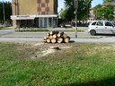  • Kazincbarcika, Egressy t, Pollack Mihly t, fa •  • gg630504 cc-by-nc-sa