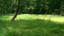  • Kazincbarcika, Ludna-t, #GCLUDN •  • gg630504 cc-by-nc-sa