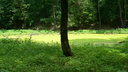 • Kazincbarcika, Ludna-t, #GCLUDN •  • gg630504 cc-by-nc-sa