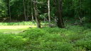  • Kazincbarcika, Ludna-t, #GCLUDN •  • gg630504 cc-by-nc-sa