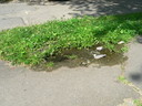  • Kazincbarcika, Hmn Kat t, forrs •  • gg630504 cc-by-nc-sa