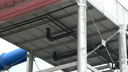  • Bogcs, termlfrd •  • gg630504 cc-by-nc-sa