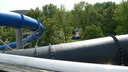  • Bogcs, termlfrd •  • gg630504 cc-by-nc-sa