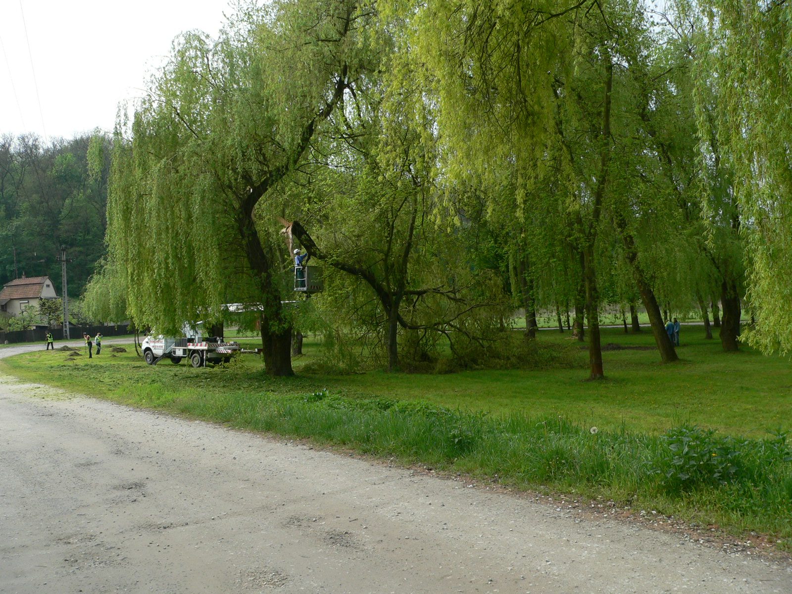  • Kazincbarcika, Csnakz-t, vihar, fa •  • gg630504 cc-by-nc-sa