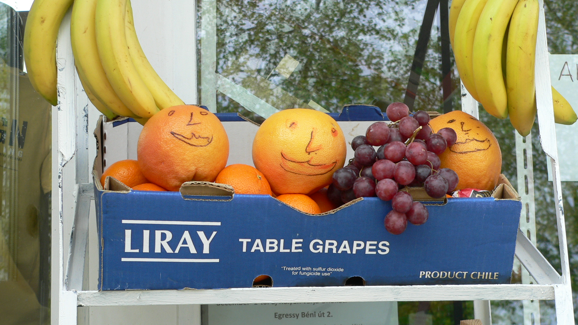  • Kazincbarcika, Egressy t, grapefruit •  • gg630504 cc-by-nc-sa
