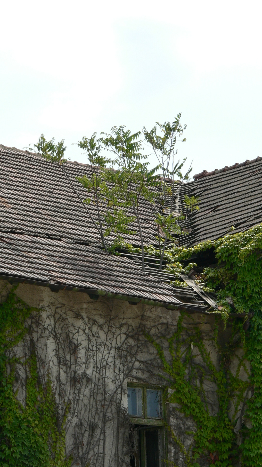  • Miskolc, Selyemrti Strandfrd •  • gg630504 cc-by-nc-sa
