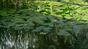  • Edelny, Kastlysziget, #GCLHCO •  • gg630504 cc-by-nc-sa