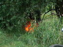  • Kazincbarcika, Csnakz-t, tz •  • gg630504 cc-by-nc-sa