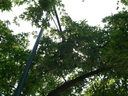  • Kazincbarcika, ptk tja, Eszperant t, lmpa, fa •  • gg630504 cc-by-nc-sa
