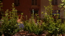  • Kazincbarcika, Egressy tr, Retr, Kolorcity •  • gg630504 cc-by-nc-sa