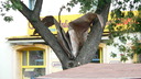  • Kazincbarcika, Szabadsg tr, Kolorcity •  • gg630504 cc-by-nc-sa