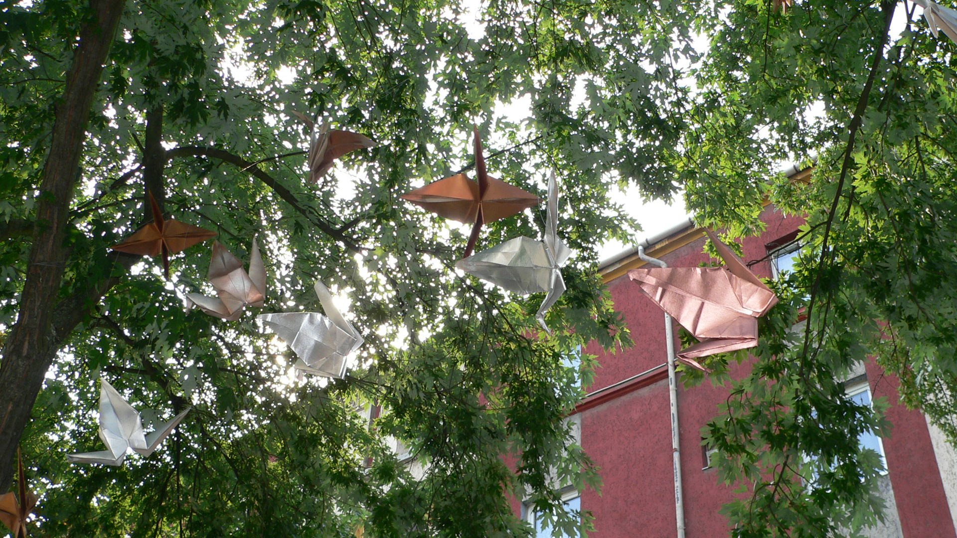  • Kazincbarcika, Szabadsg tr, Egressy t, Kolorcity •  • gg630504 cc-by-nc-sa