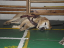  •  Kazincbarcika, KSK, Eslyegyenlsgi nap •  • gg630504 cc-by-nc-sa
