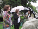  •  Kazincbarcika, Hmn Kat t, Bke tr, Jtsz mackk, Nagy Istvn, 1966, szobor, #Kztrkp/2696 #Munzee/Bgabor/63 KDK •  • gg630504 cc-by-nc-sa