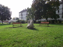 • Kazincbarcika, Hmn Kat t, Bke tr, Jtsz mackk, Nagy Istvn, 1966, szobor, #Kztrkp/2696 #Munzee/Bgabor/63 •  • gg630504 cc-by-nc-sa