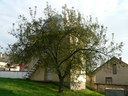  • Rudolftelep, Jzsef Attila t •  • gg630504 cc-by-nc-sa