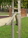  • Kazincbarcika, Csokonai t •  • gg630504 cc-by-nc-sa