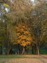  • Kazincbarcika, Csnakz-t •  • gg630504 cc-by-nc-sa