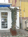  • Kazincbarcika, Egressy t, Pollack t •  • gg630504 cc-by-nc-sa