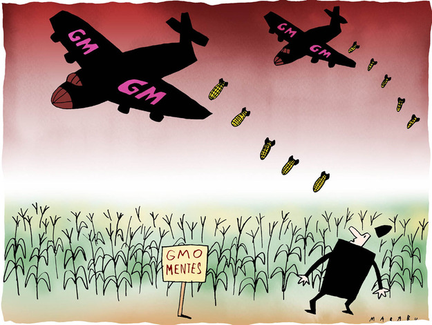 gmo_plane