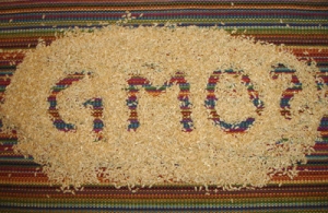gmoQmark
