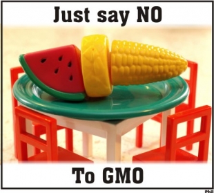 nogmo