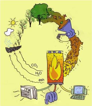 bioenergy
