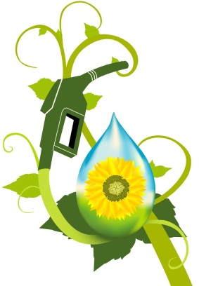 bio_fuel