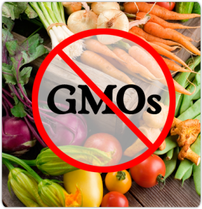nogmo