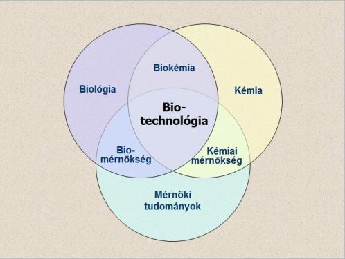 biotech_korok
