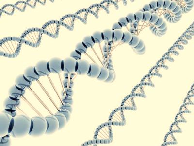 dna