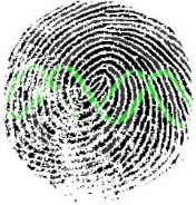 print_dna