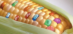 colorfulcorn