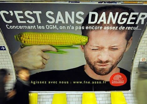 corn-gun