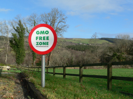 gmofreezone