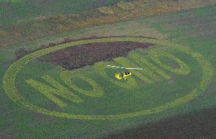 no-gmo