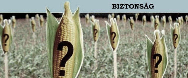 corn_question_mark