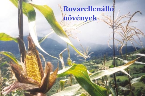 rov.ell.logo