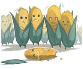 sadcorn