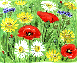 flowers