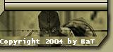 Copyright 2004 by BaT
