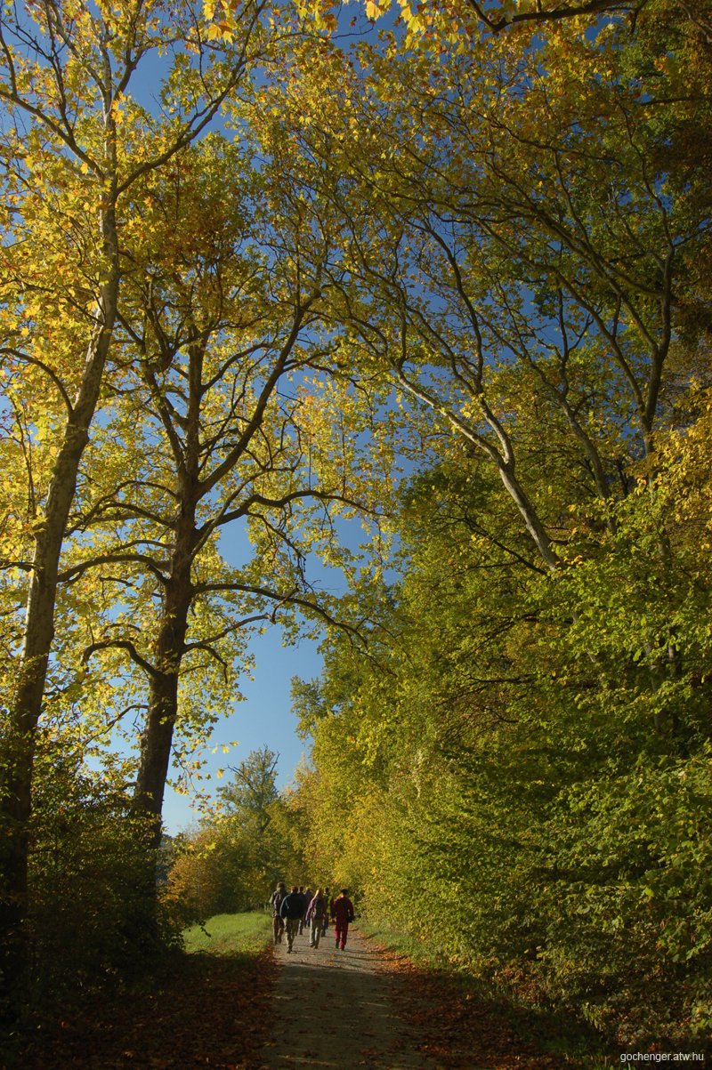 Almamellki klnvonatozs 2007 - 37.jpg
