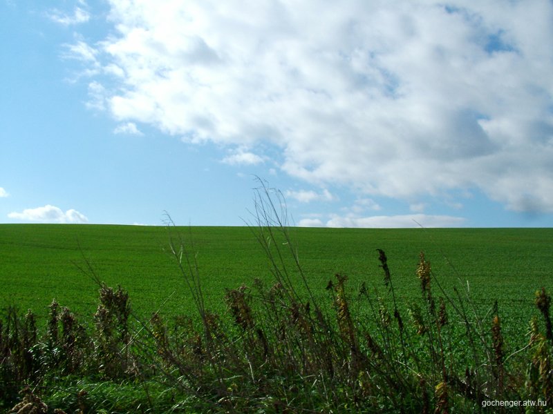 Almamellki klnvonatozs 2007 - 39.jpg