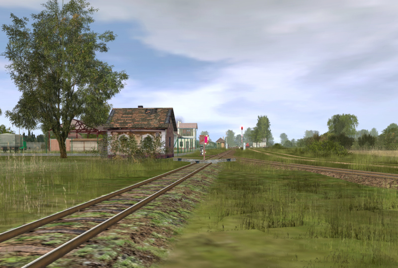 Trainz, kisvast, C50