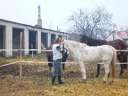 galria kp