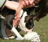 Afra