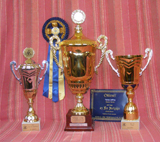 Ch. YAKEE  JEFFREY  / SCOTTY /
TOP Boston terrier winner dog the year 2011