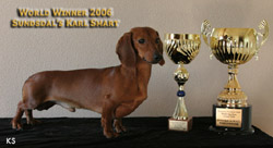 Sundsdal's Karl Smart - More Informations